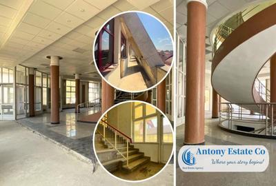 Spatiu Comercial - Birou, Cabinet Medical, Ultracentral - Or - 26