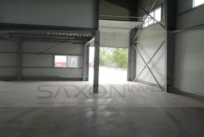 Hala depozitare sau productie   Drumul intre Tarlale,  600MP - 3