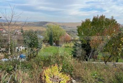 Teren de 1590 mp, în Dezmir - 4