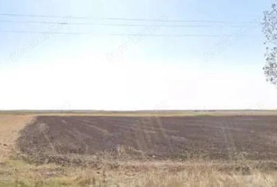 Teren extravilan cota parte 3/16 Amaru, ID: R2764932 - 2