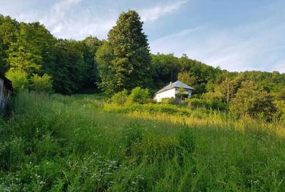 Teren 7000mp Pucioasa - Zona Pitoreasca - 9