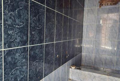 Casa de vanzare in Branisca - 16