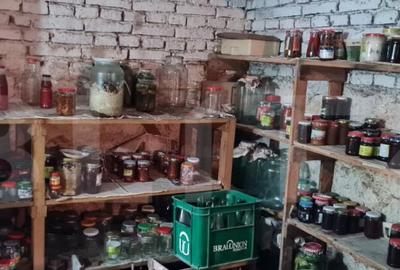 Oportunitate! Casa Bod pe un singur nivel, teren 980 mp pivn - 16