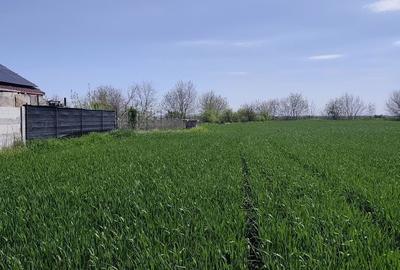 Spațiu comercial, în Central - 3