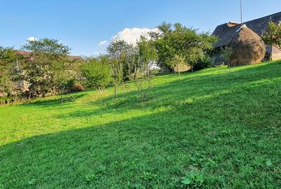 Teren pentru investitie sau casa de vacanta , Pestera , Brasov - 7