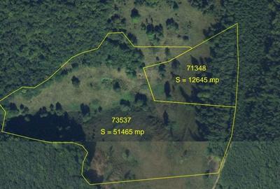 Spațiu comercial, în Central - 2