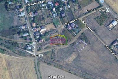 Teren de 921 mp, în Cernica - 2