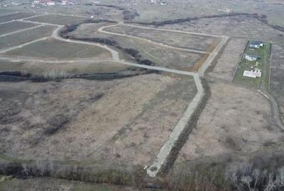 Teren de 5000 mp, în Albina - 1