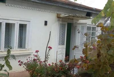 Casa batraneasca cu teren generos 1.807 mp, Tulbureni - 3