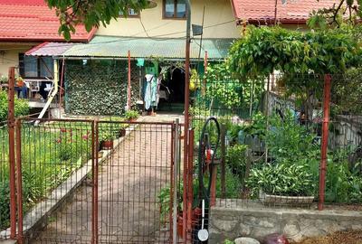 Casă cu 6 camere cu Teren 4000 Mp în Central - 2