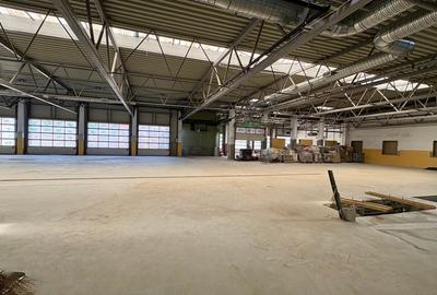 Hală industrială in Valul lui Traian cu 7.646 mp desfășurați si teren de 35000mp - 7