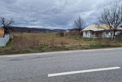 Teren intravilan in Sanduleni/Bacau de vanzare - 14