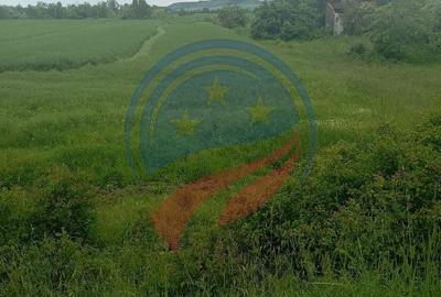 Teren Construcții intravilan de 7140 mp, în Murgași - 2
