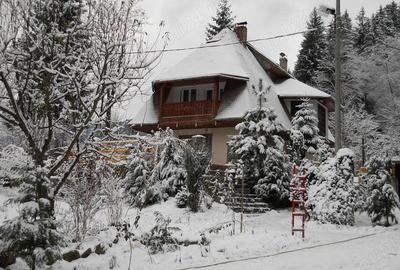 Vila P+2 cu 8 camere ?i 4600 mp teren Ideala pentru pensiune, casa multifamiliala sau investi?ie - 3