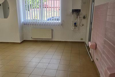 Spatiu comercial langa piata 23 august - 4