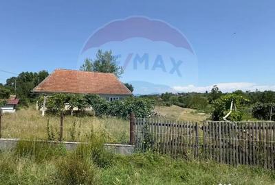 Casă cu 3 camere cu Teren 3760 Mp în Arieșu de Pădure - 8