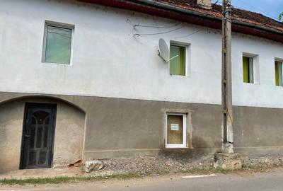 Casa i Mehadica