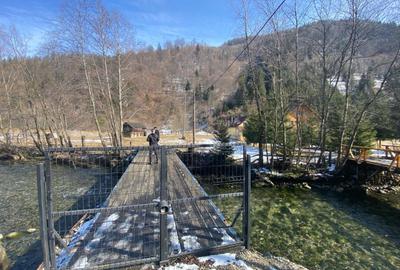 Teren Construcții intravilan de 2694 mp, în Sătic - 3