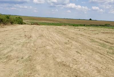 Teren in Butimanu cu Deschidere la Lac-Jud. Dambovita - 4