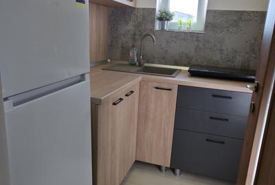 Garsonieră decomandată, mobilată în Bogdăneștilor - 4