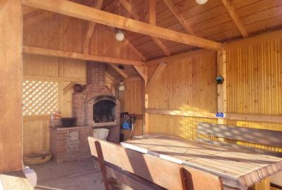 Vila+ teren de 2,2ha la 5 km de Vatra Dornei - 9