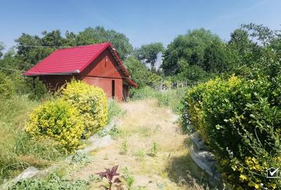 Casa individuala cu gradina frumoasa, teren mare Moldovenesti-Cluj - 17