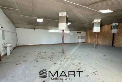 Spatiu industrial/hala 130mp + curte zona Viile Sibiului - 2
