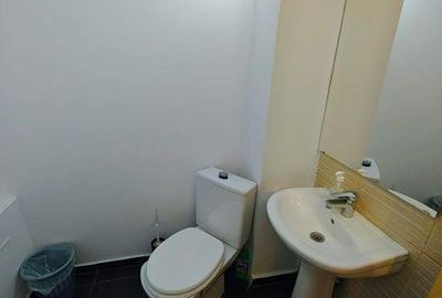 Apartament cu 3 camere, mobilat în Străulești - 2