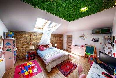 Proprietate unica, independenta energetic, zona Bucium - 23