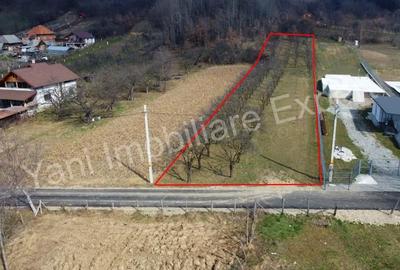 Teren de 2172 mp, în Albești - 3