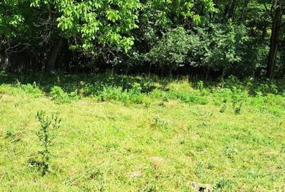 Teren de 4900 mp, în Central - 3