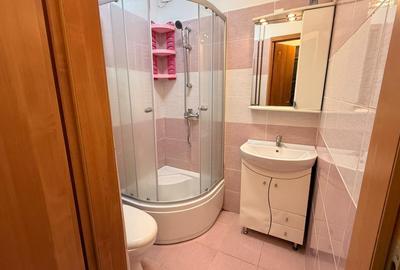 Garsonieră decomandată, mobilată în Aradului - 3