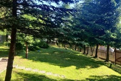 Cabana de vanzare , 320 mp utili, zona Belis - 2