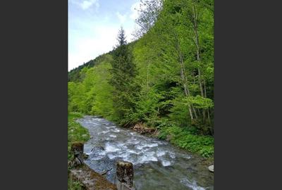 House for sale, 5 Rooms, 180 sqm, Valea Dejani - 7