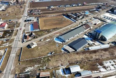 Hale industriale de inchiriat in Tg Neam? - 5