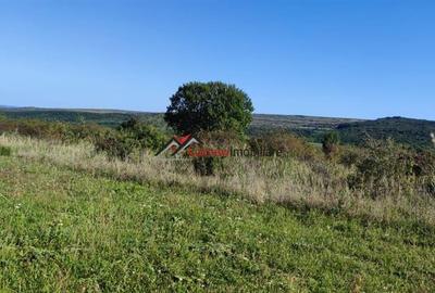 Reducere de pret! 800 mp teren intravilan la 10 km Auchan Iris, sat Padureni-Chi - 5