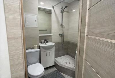 Apartament cu o camera de inchiriat in Calea Sagului - 5