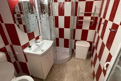 Garsonieră decomandată, mobilată în Podul de Piatră - 6