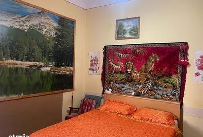Casă cu 2 camere cu Teren 250 Mp în Calea Aradului - 1