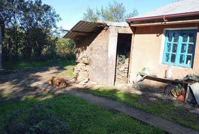 Casa cu teren de 2000 m - 5