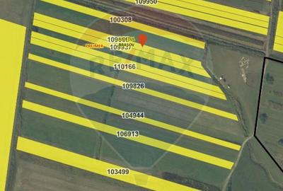 Teren agricol extravilan de 4000 mp, în Stupinii Prejmerului - 7