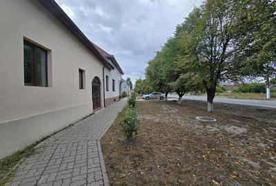 Casă cu 3 camere cu Teren 549 Mp în Cenad - 1