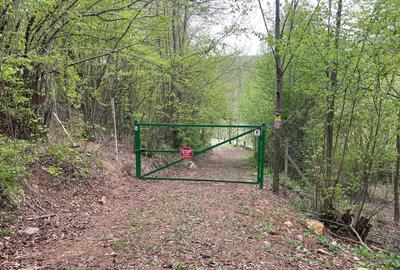 Casă cu 2 camere în Bătrâna - 1