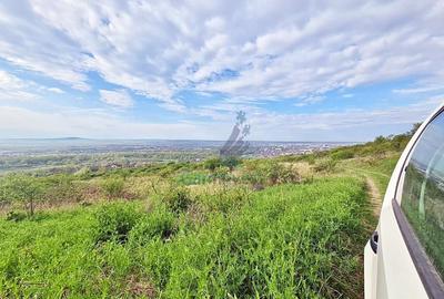 Teren Construcții intravilan de 12217 mp, în Podgoria - 3