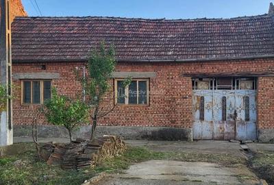 Casă cu Teren 1129 Mp în Berliște - 16