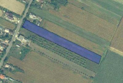 Teren de 5800 mp, în Livada - 1