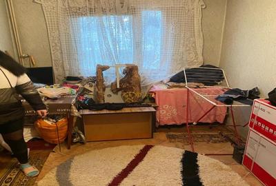 Apartament 2 camere Alexandru Cel Bun Apartament 2 camere Alexandru Cel Bun - 5