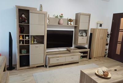 Apartament cu 2 camere semidecomandat în Valea Oltului - 7