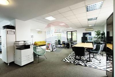Vanzare Spatiu Comercial / Birou, Str. Popa Tatu -Cismigiu, Investitie - 3