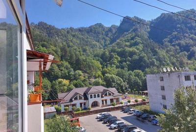 Apartament 3 camere brezoi - 3